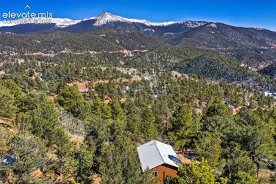 493 Horseshoe Drive, Divide, CO 80814 - Photo 7