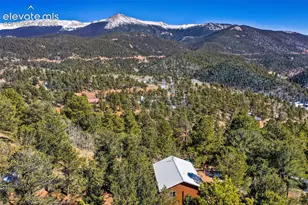493 Horseshoe Dr, Divide, CO 80814 - Photo 7