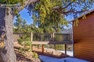 493 Horseshoe Dr, Divide, CO 80814 - Photo 11