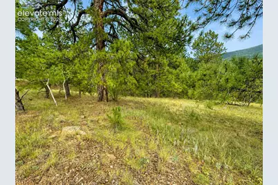 88 May Queen Way, Cripple Creek, CO 80813 - Photo 3