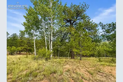 88 May Queen Way, Cripple Creek, CO 80813 - Photo 1