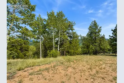 88 May Queen Way, Cripple Creek, CO 80813 - Photo 5