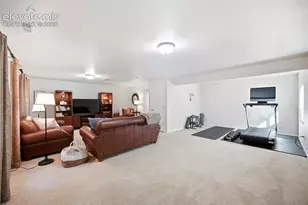 209 Avocet Loop, Colorado Springs, CO 80921 - Photo 35