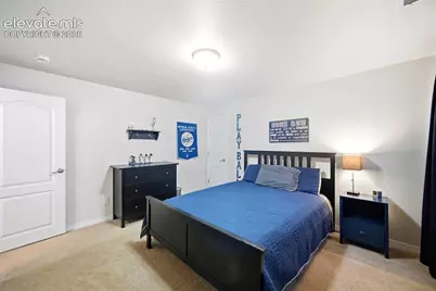 209 Avocet Loop, Colorado Springs, CO 80921 - Photo 29