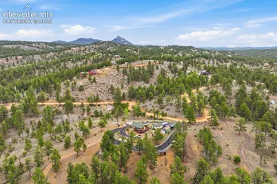 201 Lake Drive, Florissant, CO 80816 - Photo 21