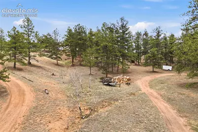 201 Lake Drive, Florissant, CO 80816 - Photo 29