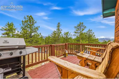 201 Lake Drive, Florissant, CO 80816 - Photo 5