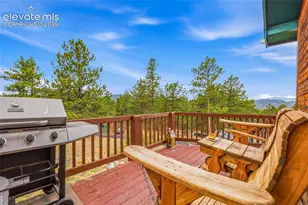 201 Lake Dr, Florissant, CO 80816 - Photo 5