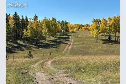 2940 North Road, Divide, CO 80814 - Photo 3