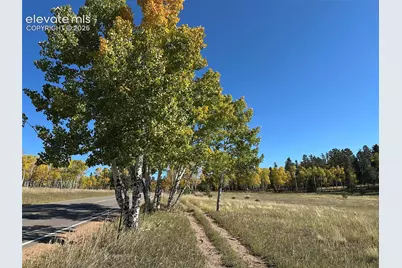 2940 North Road, Divide, CO 80814 - Photo 9