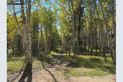 2940 North Road, Divide, CO 80814 - Photo 15