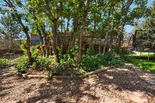 6555 Arequa Ridge Ln, Colorado Springs, CO 80919 - Photo 41