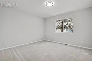 1010 Magic Lamp Way, Monument, CO 80132 - Photo 11