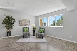 1010 Magic Lamp Way, Monument, CO 80132 - Photo 5