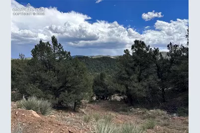 2973 Driftwood Road, Westcliffe, CO 81252 - Photo 13