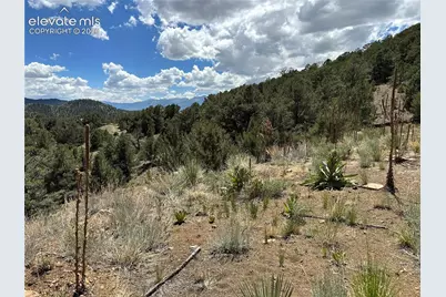 2973 Driftwood Road, Westcliffe, CO 81252 - Photo 3