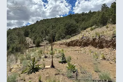 2973 Driftwood Road, Westcliffe, CO 81252 - Photo 5