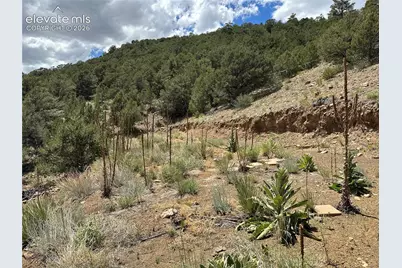 2973 Driftwood Road, Westcliffe, CO 81252 - Photo 7