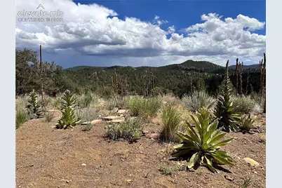 2973 Driftwood Road, Westcliffe, CO 81252 - Photo 9