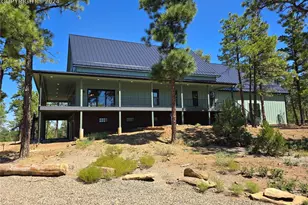 33036 Meadow Ridge Ln, Trinidad, CO 81082 - Photo 7
