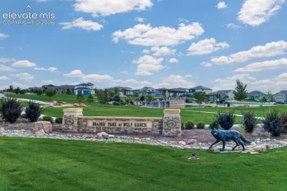 6173 Harney Drive, Colorado Springs, CO 80924 - Photo 47
