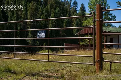 101 Navajo Circle, Divide, CO 80814 - Photo 5