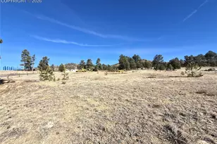 38340 Hwy 24, Lake George, CO 80827 - Photo 9