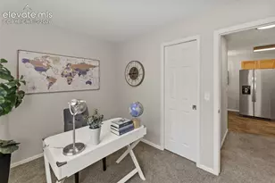 718 Cima Vista Point, Colorado Springs, CO 80916 - Photo 31