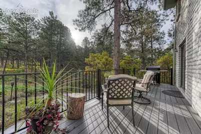 670 E Baptist Road, Colorado Springs, CO 80921 - Photo 21