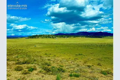 3984 Elkhorn Road, Hartsel, CO 80449 - Photo 9