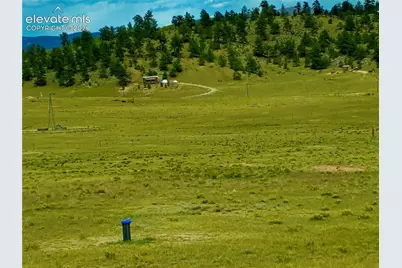 3984 Elkhorn Road, Hartsel, CO 80449 - Photo 13