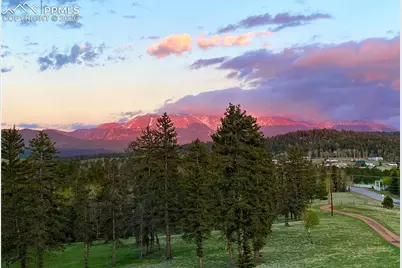4797 County Road 42, Divide, CO 80814 - Photo 43