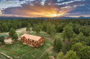 4797 Co Rd 42, Divide, CO 80814 - Photo 3
