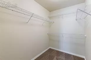7916 Lightwood Way, Colorado Springs, CO 80908 - Photo 29