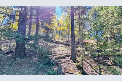 959 Calcite Drive, Divide, CO 80814 - Photo 49