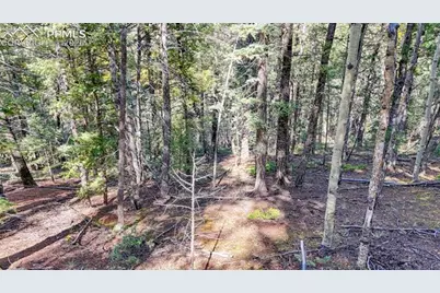 959 Calcite Drive, Divide, CO 80814 - Photo 47