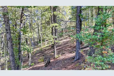 959 Calcite Drive, Divide, CO 80814 - Photo 45