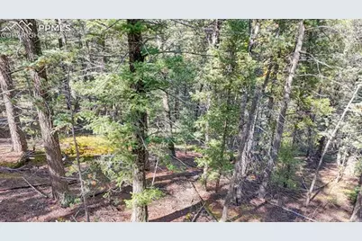 959 Calcite Drive, Divide, CO 80814 - Photo 43