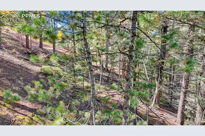 959 Calcite Drive, Divide, CO 80814 - Photo 9