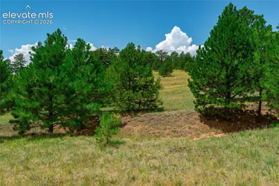 Lot 28 Penrose Circle, Cripple Creek, CO 80813 - Photo 11