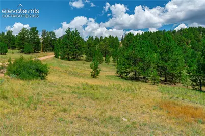 Lot 28 Penrose Circle, Cripple Creek, CO 80813 - Photo 9