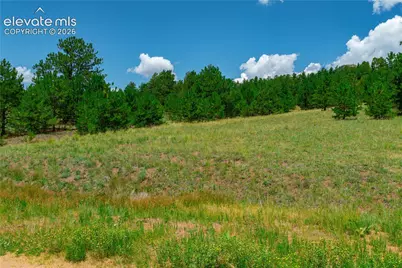 Lot 28 Penrose Circle, Cripple Creek, CO 80813 - Photo 5