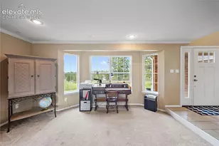 7950 Wranglers Way, Colorado Springs, CO 80908 - Photo 19