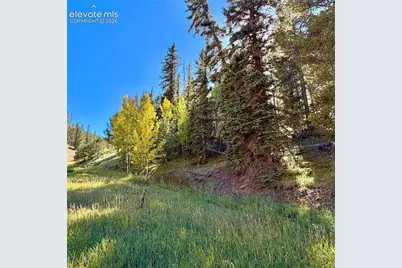 535 Willow Road, Divide, CO 80814 - Photo 9