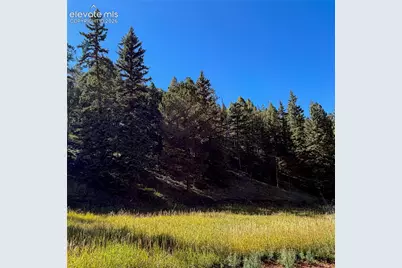 535 Willow Road, Divide, CO 80814 - Photo 15
