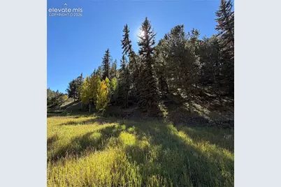 535 Willow Road, Divide, CO 80814 - Photo 7