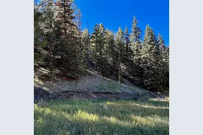 535 Willow Road, Divide, CO 80814 - Photo 5