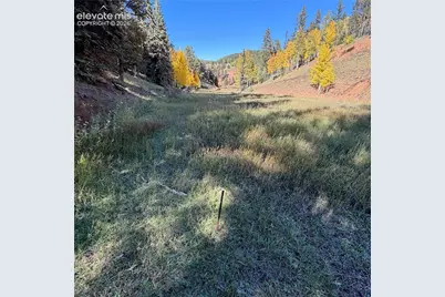 535 Willow Road, Divide, CO 80814 - Photo 17