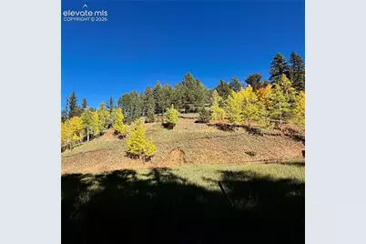 535 Willow Road, Divide, CO 80814 - Photo 19