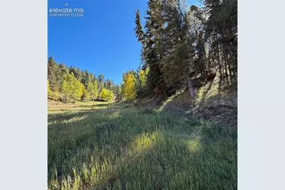 535 Willow Road, Divide, CO 80814 - Photo 13
